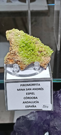 2ª Feria de Minerales y fósiles de Burgos