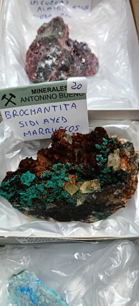 2ª Feria de Minerales y fósiles de Burgos