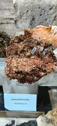 2ª Feria de Minerales y fósiles de Burgos