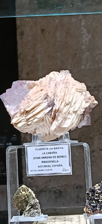2ª Feria de Minerales y fósiles de Burgos