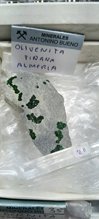 2ª Feria de Minerales y fósiles de Burgos