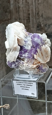 2ª Feria de Minerales y fósiles de Burgos