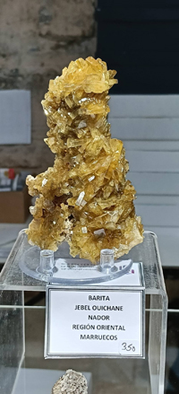 2ª Feria de Minerales y fósiles de Burgos