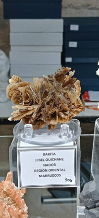 2ª Feria de Minerales y fósiles de Burgos