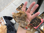 VIII Feria de Minerales de Cartama. Bella Jarifa