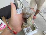 VIII Feria de Minerales de Cartama. Bella Jarifa