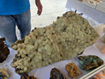 VIII Feria de Minerales de Cartama. Bella Jarifa
