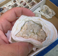 VIII Feria de Minerales de Cartama. Bella Jarifa