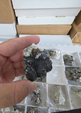 VIII Feria de Minerales de Cartama. Bella Jarifa