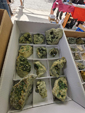 VIII Feria de Minerales de Cartama. Bella Jarifa