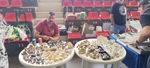 XIV Feria de Minerales de Colmenar Viejo