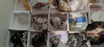 XIV Feria de Minerales de Colmenar Viejo