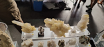 XIV Feria de Minerales de Colmenar Viejo