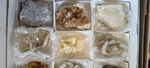 XIV Feria de Minerales de Colmenar Viejo