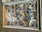 XIV Feria de Minerales de Colmenar Viejo