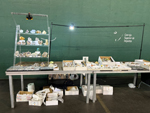 XIV Feria de Minerales de Colmenar Viejo