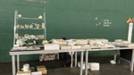 XIV Feria de Minerales de Colmenar Viejo