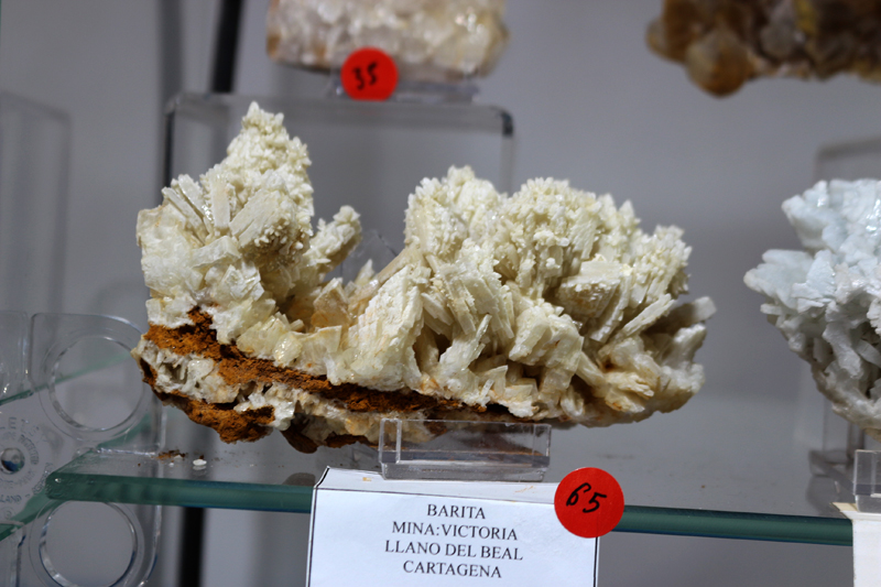   XXVIII Feria de Minerales y Fósiles dela Unión