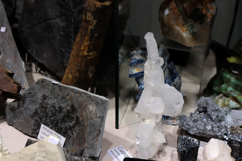   XXVIII Feria de Minerales y Fósiles dela Unión