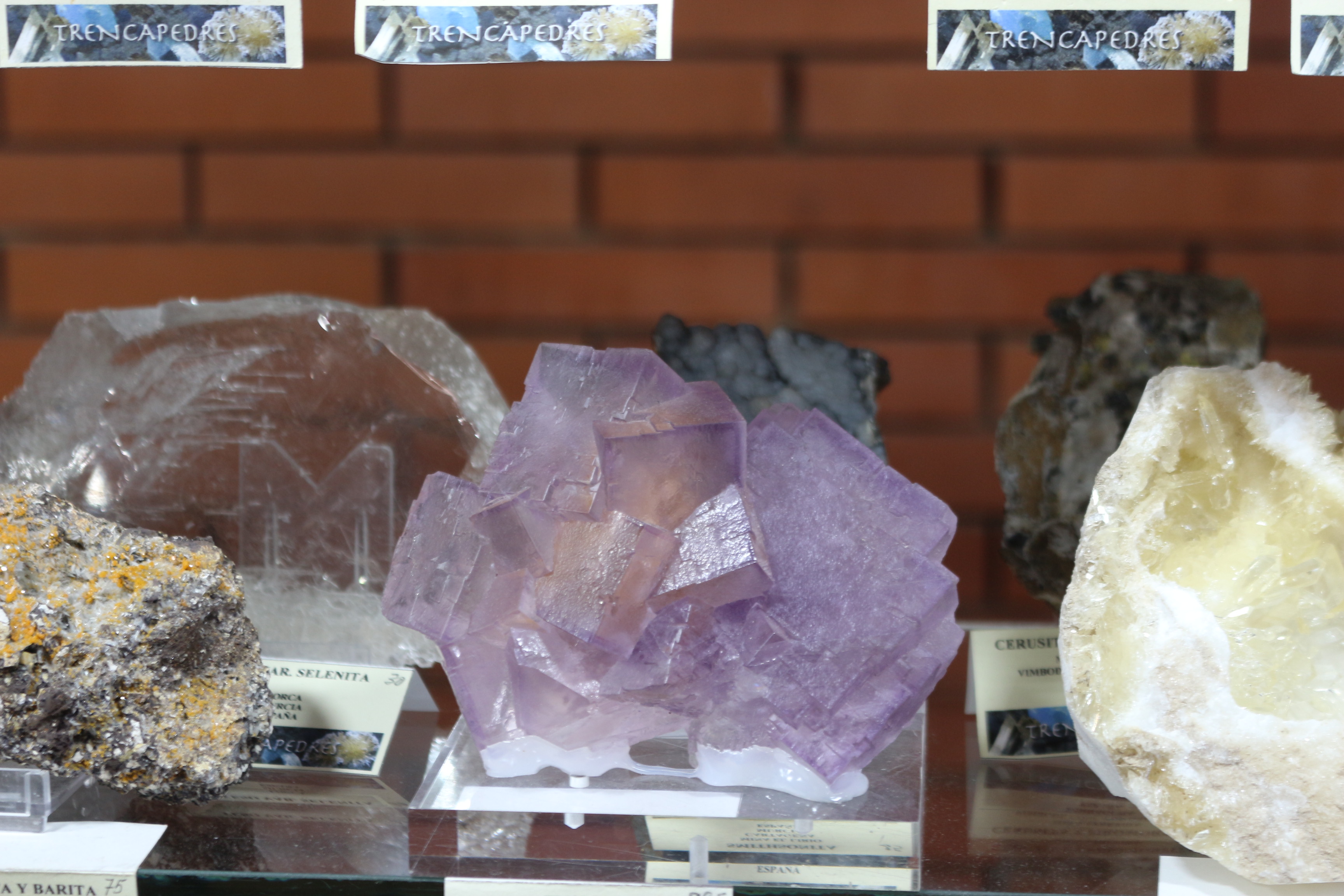   XXVIII Feria de Minerales y Fósiles dela Unión