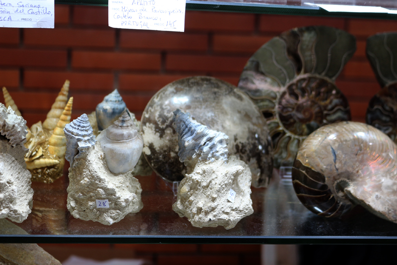   XXVIII Feria de Minerales y Fósiles dela Unión