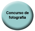   XXVIIII Feria de Minerales y Fósiles