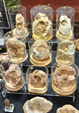 2ª Feria de Minerales y fósiles de Pantoja. Toledo