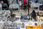 2ª Feria de Minerales y fósiles de Pantoja. Toledo