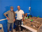  2ª Feria de Minerales y fósiles de Pantoja. Toledo