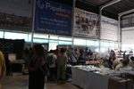 2ª Feria de Minerales y fósiles de Pantoja. Toledo