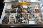 2ª Feria de Minerales y fósiles de Pantoja. Toledo