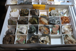 2ª Feria de Minerales y fósiles de Pantoja. Toledo
