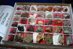 2ª Feria de Minerales y fósiles de Pantoja. Toledo