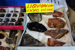 2ª Feria de Minerales y fósiles de Pantoja. Toledo