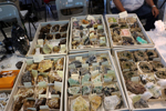 2ª Feria de Minerales y fósiles de Pantoja. Toledo