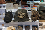 2ª Feria de Minerales y fósiles de Pantoja. Toledo