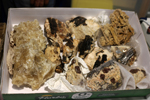 2ª Feria de Minerales y fósiles de Pantoja. Toledo