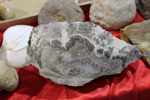 2ª Feria de Minerales y fósiles de Pantoja. Toledo