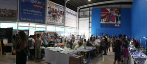 2ª Feria de Minerales y fósiles de Pantoja. Toledo