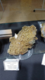 X Feria de Minerales de Salamanca