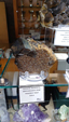 X Feria de Minerales de Salamanca