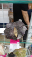 X Feria de Minerales de Salamanca