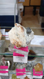 X Feria de Minerales de Salamanca