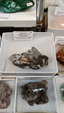 X Feria de Minerales de Salamanca