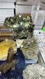 X Feria de Minerales de Salamanca