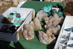 XIV Mesa de Intercambio de Minerales y Fósiles de Alicante