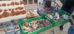  XIV Mesa de Intercambio de Minerales y Fósiles de Alicante