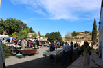 XIV Mesa de Intercambio de Minerales y Fósiles de Alicante
