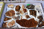 XIV Mesa de Intercambio de Minerales y Fósiles de Alicante