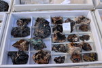 XIV Mesa de Intercambio de Minerales y Fósiles de Alicante
